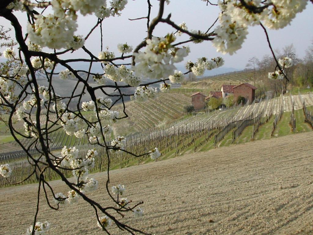 Cascina Il Ginepro Guest House Sinio Exterior photo